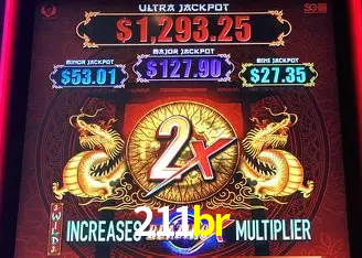 211br Rio de Janeiro - Professional Dealers