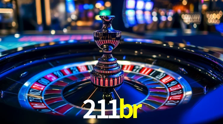 Premium Interface 211br