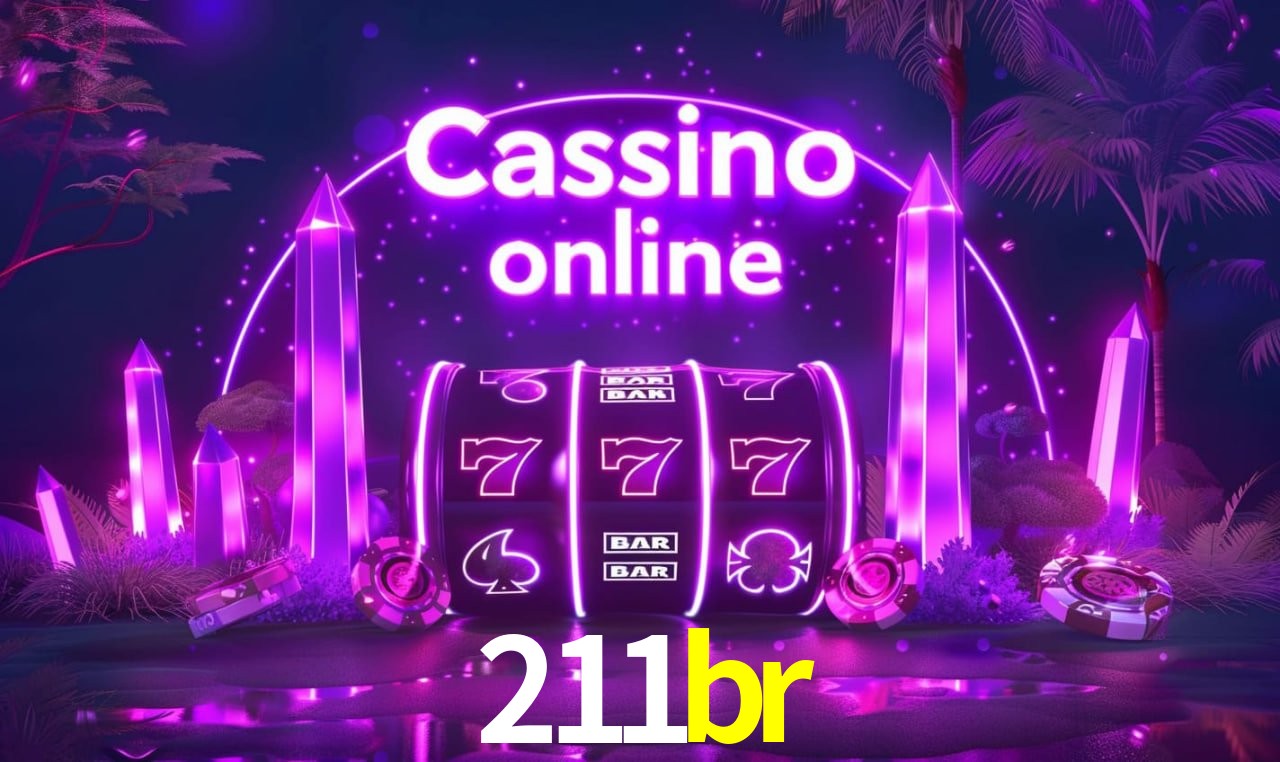 211br - Customer Support